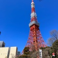 実際訪問したユーザーが直接撮影して投稿した芝公園ラーメン専門店宇明家 東京タワー店の写真