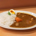 スパイスチキンカレー - 実際訪問したユーザーが直接撮影して投稿した南芥川町カレールゥ カルメンの写真のメニュー情報