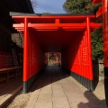 実際訪問したユーザーが直接撮影して投稿した犬山神社三光稲荷神社の写真