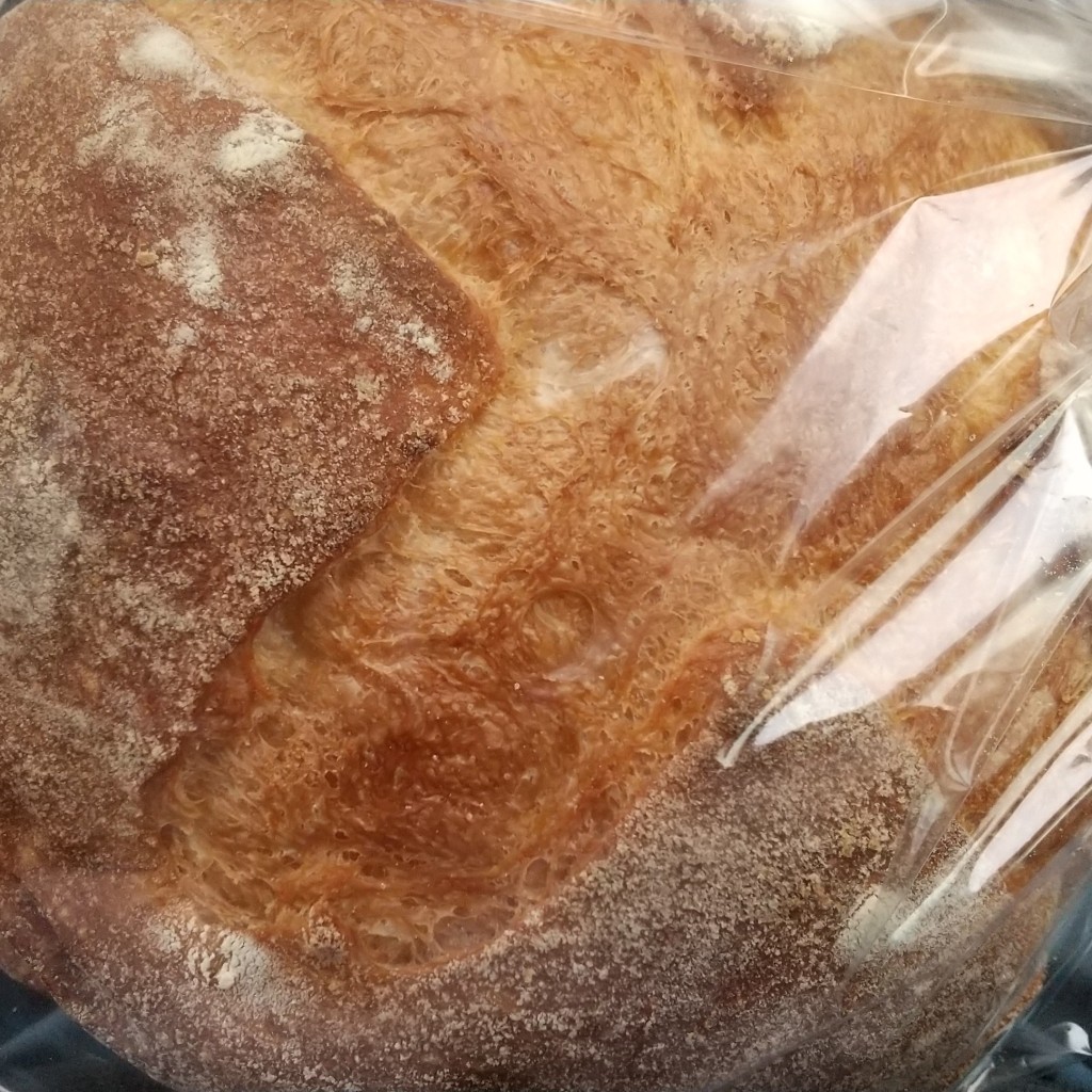 ユーザーが投稿した丸パンの写真 - 実際訪問したユーザーが直接撮影して投稿した安江ケーキBAKERY三四郎の写真