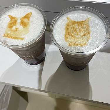 猫カフェ Moff animal cafe アリオ倉敷店のundefinedに実際訪問訪問したユーザーunknownさんが新しく投稿した新着口コミの写真