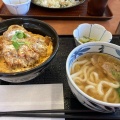 ヒレかつ丼 - 実際訪問したユーザーが直接撮影して投稿した隼人町見次とんかつかつ庵 霧島隼人店の写真のメニュー情報