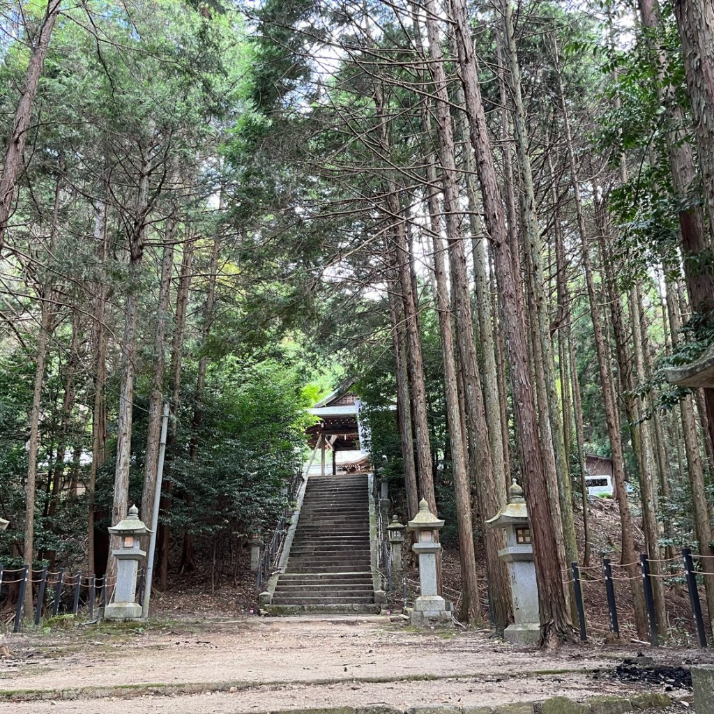 ここあちーずさんが投稿した錦織神社のお店宇佐八幡宮/ウサハチマングウの写真