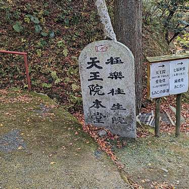 実際訪問したユーザーが直接撮影して投稿した萩尾寺呑山観音寺の写真