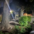 実際訪問したユーザーが直接撮影して投稿した瀬川神社瀬川神社の写真