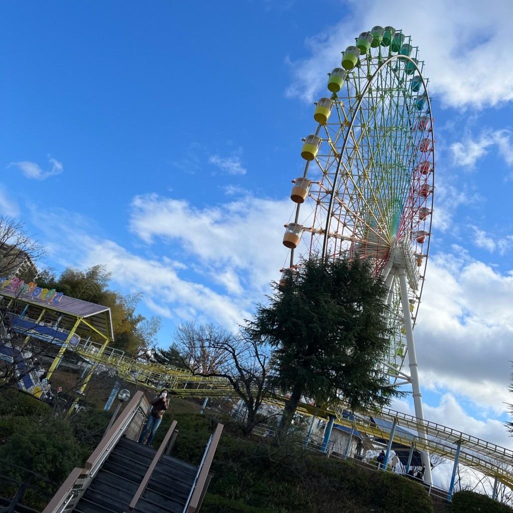 実際訪問したユーザーが直接撮影して投稿した枚方公園町観覧車スカイウォーカー ひらかたパークの写真