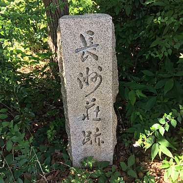 ぶどううり・くすこさんが投稿した杭瀬北新町公園のお店長洲川緑地/ナガスガワリョクチの写真