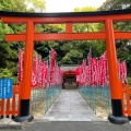 実際訪問したユーザーが直接撮影して投稿した六本松神社福岡縣護国神社の写真