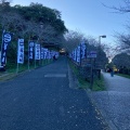 実際訪問したユーザーが直接撮影して投稿した館山城 / 城跡館山城の写真