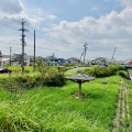 実際訪問したユーザーが直接撮影して投稿した上石田町公園新田橋公園の写真