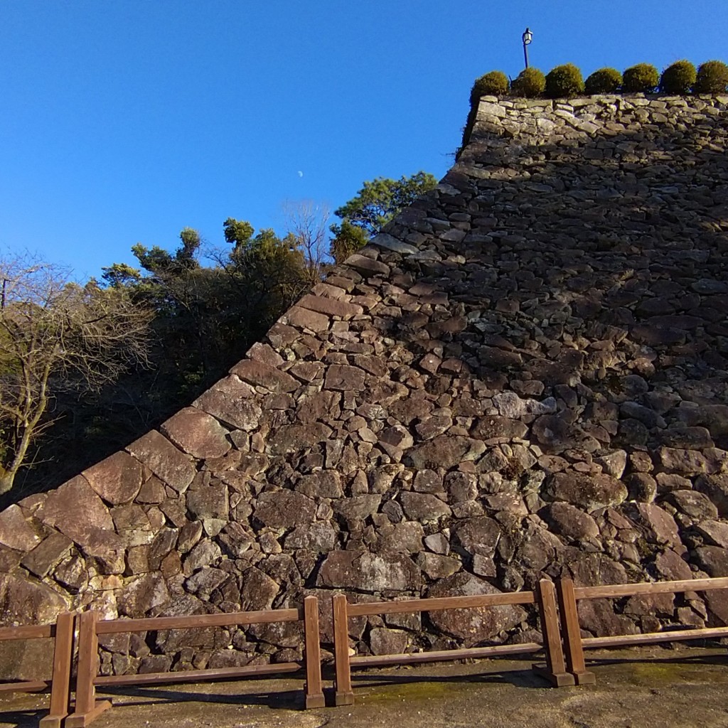 実際訪問したユーザーが直接撮影して投稿した東本小路城 / 城跡延岡城跡の写真