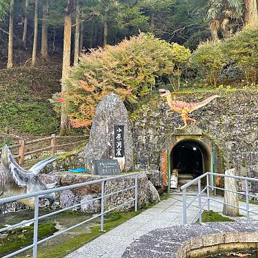 実際訪問したユーザーが直接撮影して投稿した花園梁瀬遊園地 / テーマパーク恐竜ランド極楽洞の写真