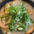 実際訪問したユーザーが直接撮影して投稿した網野町木津ラーメン / つけ麺ここらじ亭の写真