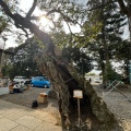 実際訪問したユーザーが直接撮影して投稿した大塚戸町神社一言主神社の写真