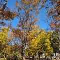 実際訪問したユーザーが直接撮影して投稿した河辺町公園わかぐさ公園の写真