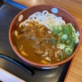 ジャワ風カレーうどん - 実際訪問したユーザーが直接撮影して投稿した上条町うどん得得 南安城店の写真のメニュー情報