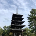 実際訪問したユーザーが直接撮影して投稿した登大路町寺興福寺の写真