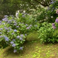 実際訪問したユーザーが直接撮影して投稿した山ノ内寺長寿寺の写真