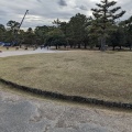 実際訪問したユーザーが直接撮影して投稿した登大路町公園奈良公園 登大路園地の写真