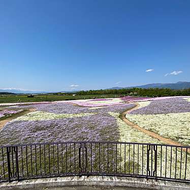 実際訪問したユーザーが直接撮影して投稿した洗馬公園大芝生広場の写真