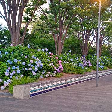 実際訪問したユーザーが直接撮影して投稿した大田町公園どんでん広場の写真