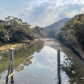 実際訪問したユーザーが直接撮影して投稿した宇治館町地域名所宇治橋の写真