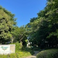 実際訪問したユーザーが直接撮影して投稿した目黒公園目黒区民センター公園の写真