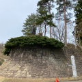 実際訪問したユーザーが直接撮影して投稿した中屋敷城 / 城跡春日山城跡の写真