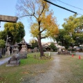 実際訪問したユーザーが直接撮影して投稿した枇杷島神社八幡社の写真