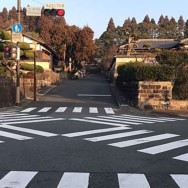 実際訪問したユーザーが直接撮影して投稿した飫肥歴史的建造物飫肥城 大手門の写真