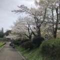 実際訪問したユーザーが直接撮影して投稿した狩場町公園横浜市児童遊園地の写真