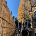 実際訪問したユーザーが直接撮影して投稿した芝大門神社芝大神宮の写真