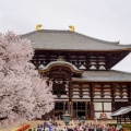 実際訪問したユーザーが直接撮影して投稿した雑司町寺東大寺の写真
