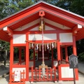 実際訪問したユーザーが直接撮影して投稿した住吉神社荒熊・白髭稲荷神社の写真