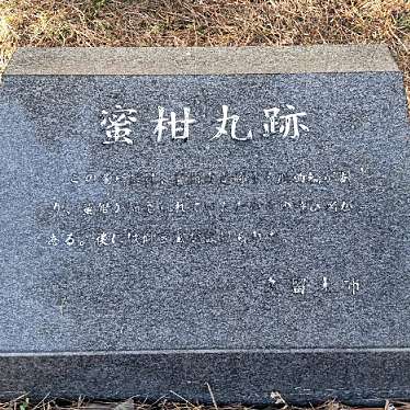 いねむりアヒルさんが投稿した篠山町歴史 / 遺跡のお店久留米城 蜜柑丸跡/クルメジョウ ミカンマルアトの写真