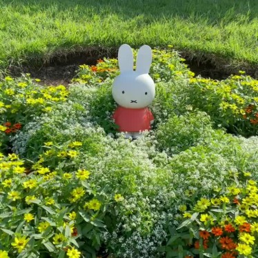 実際訪問したユーザーが直接撮影して投稿した公園東品川海上公園の写真