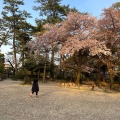 実際訪問したユーザーが直接撮影して投稿した中村町公園中村公園の写真