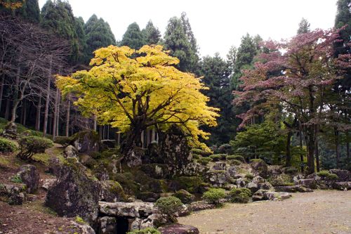 実際訪問したユーザーが直接撮影して投稿した城戸ノ内町庭園一乗谷朝倉氏庭園の写真