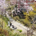 実際訪問したユーザーが直接撮影して投稿した吉野山寺如意輪寺の写真