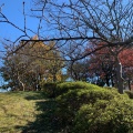 実際訪問したユーザーが直接撮影して投稿した高州公園みさと公園の写真