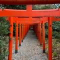 実際訪問したユーザーが直接撮影して投稿した三好町神社三好稲荷閣の写真