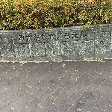 美賀多中公園のundefinedに実際訪問訪問したユーザーunknownさんが新しく投稿した新着口コミの写真