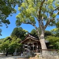 実際訪問したユーザーが直接撮影して投稿した内山神社竈門神社の写真