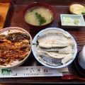 2色丼 - 実際訪問したユーザーが直接撮影して投稿した岩瀬魚介 / 海鮮料理いそねの写真のメニュー情報