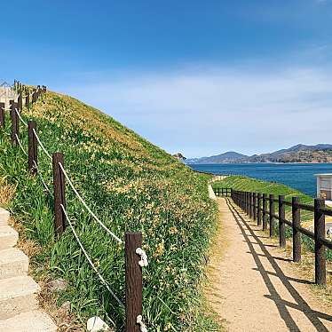 実際訪問したユーザーが直接撮影して投稿した野母町公園水仙の里公園の写真