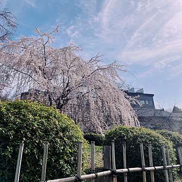 祇園しだれ桜のundefinedに実際訪問訪問したユーザーunknownさんが新しく投稿した新着口コミの写真