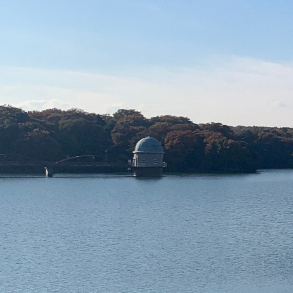 実際訪問したユーザーが直接撮影して投稿した多摩湖歴史的建造物村山下貯水池第一取水塔の写真