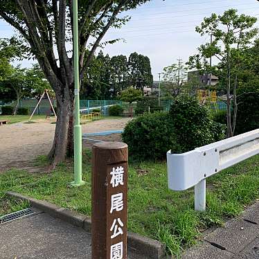 実際訪問したユーザーが直接撮影して投稿した横尾公園横尾公園の写真
