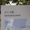 実際訪問したユーザーが直接撮影して投稿した六本木散策路六本木さくら坂の写真