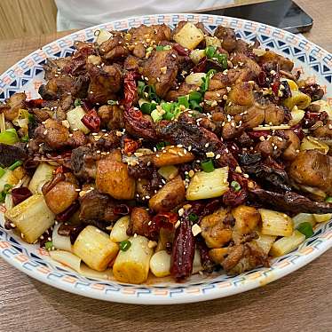 実際訪問したユーザーが直接撮影して投稿した東池袋アジア / エスニック疆萊 中国西部本場料理の写真